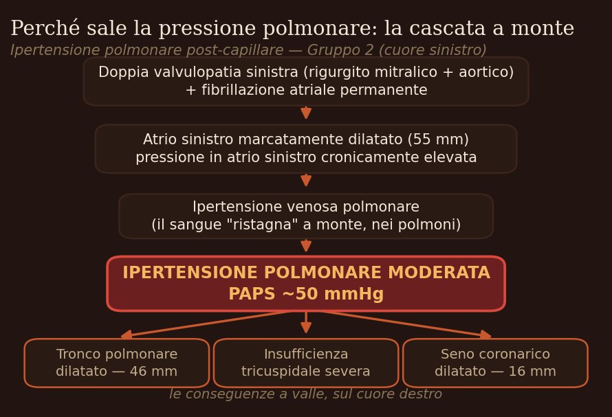 Schema della cascata emodinamica: dalla doppia valvulopatia sinistra e dalla dilatazione atriale all'ipertensione polmonare post-capillare e alle conseguenze sul cuore destro